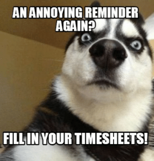 top timesheet memes to meet the payroll deadline