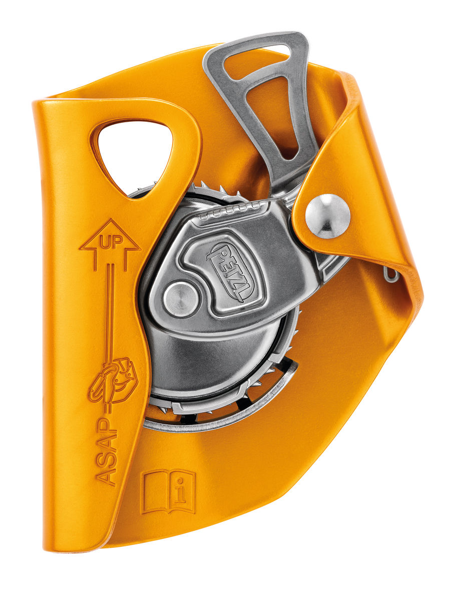 2019 Petzl ASAP (B070AA00)