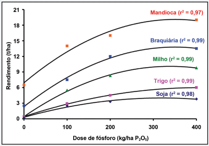 fósforo nas plantas