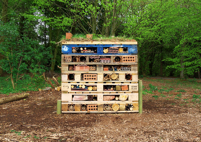 7-tier pallet bug hotel