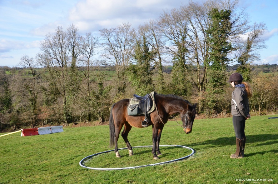 Cavalière en TREC - Bretagne @Blog Cheval d'Aventure