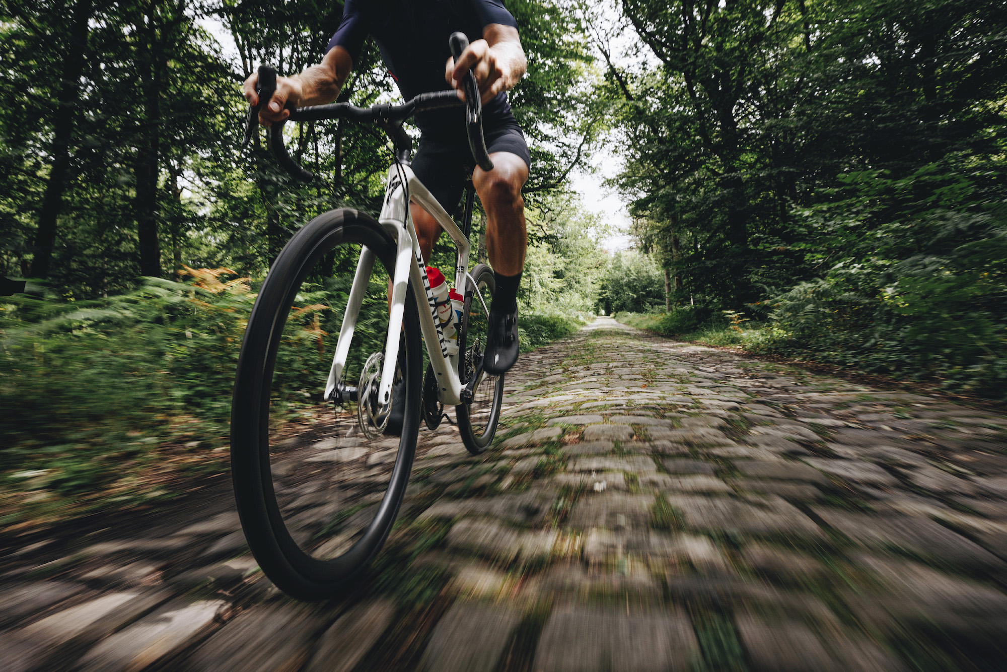 The Ultimate Guide to Finding the Best Road Bikes – Leisure Lakes Bikes ...