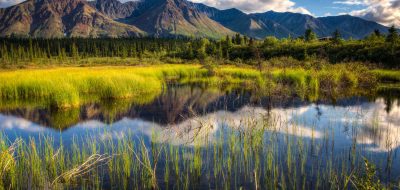 Mountains on a blue-sky horizon reflected in a placid pond.