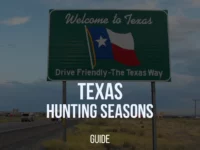 Texas Hunting Season 2024-25: Dates, Regulations, Licenses