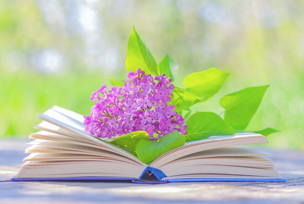 open book with a branch of blooming lilacs