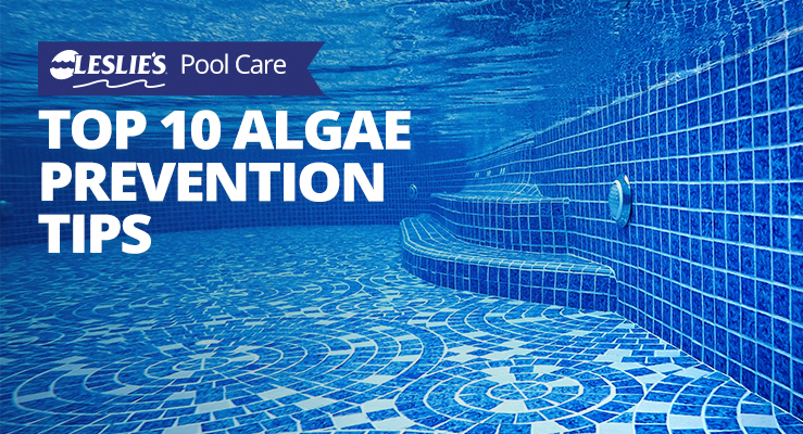 Top 10 Pool Algae Prevention Tipsthumbnail image.