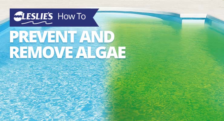 How to Prevent and Remove Algaethumbnail image.