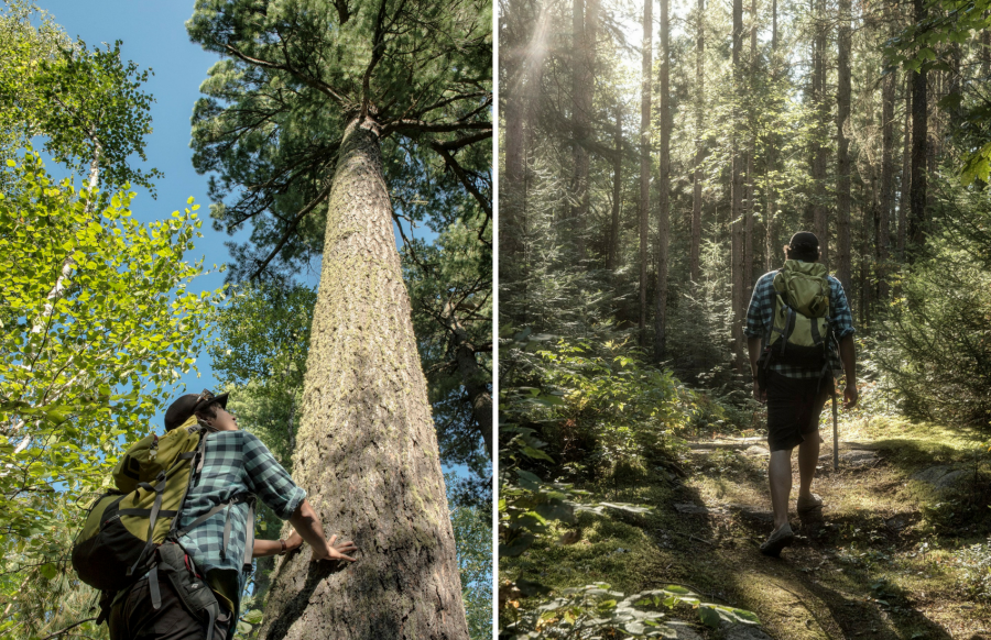 Quetico hiker