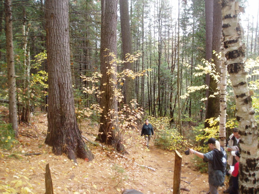 hikers on trail