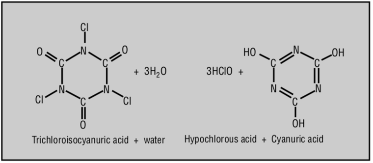 CYA molecules