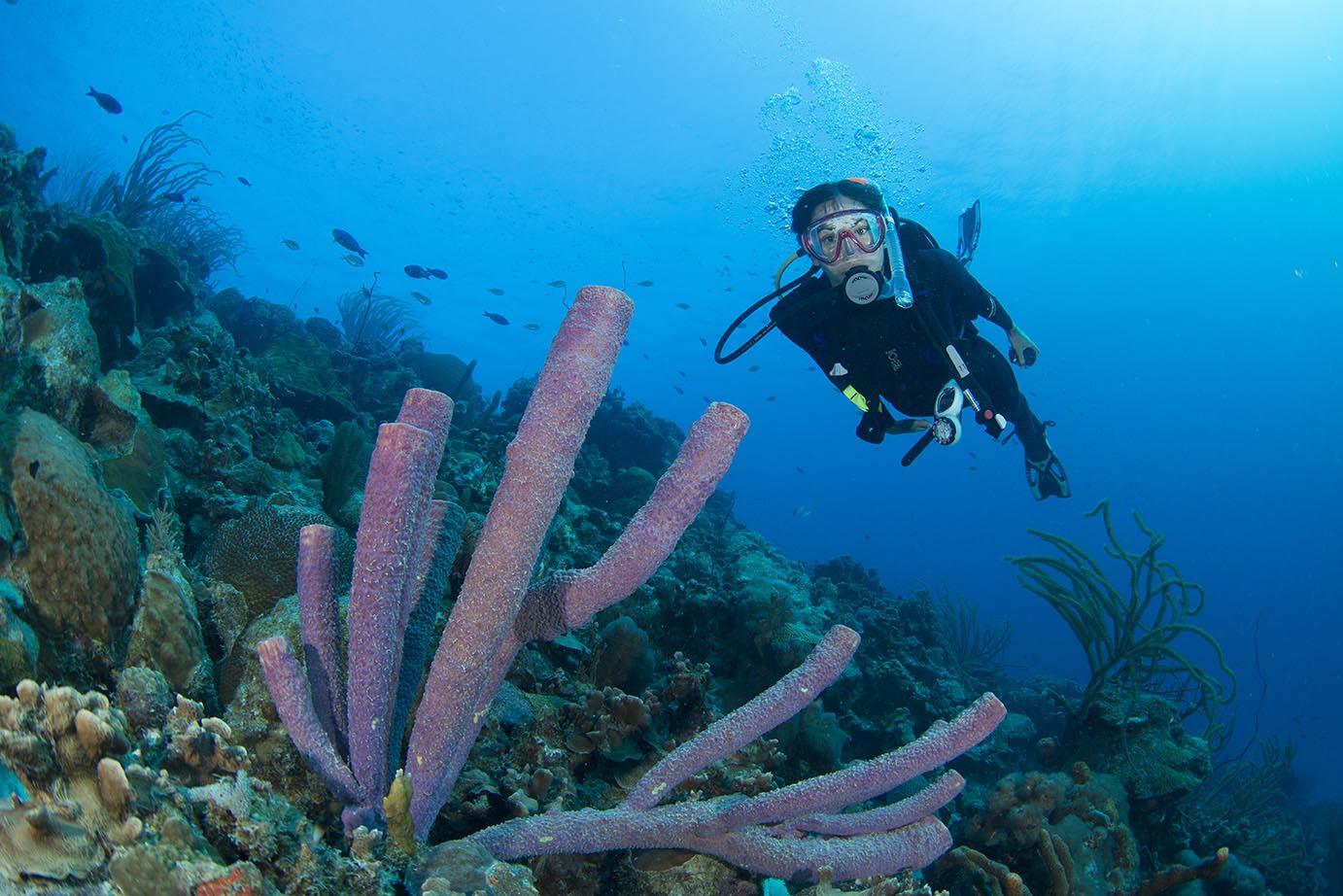 Bonaire