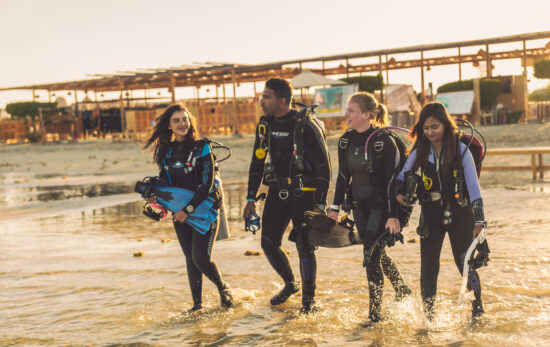 four divers enter the water together in the red sea, egypt