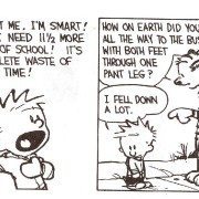 Calvin and Hobbes