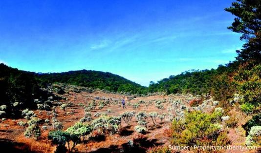 Open Trip Gunung Gede via Gunung Putri, gunung gede, gunung gede via putri,lembah mandalawangi