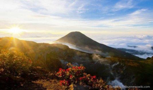 Open Trip Gunung Gede via Gunung Putri, gunung gede, gunung gede via putri,lembah mandalawangi