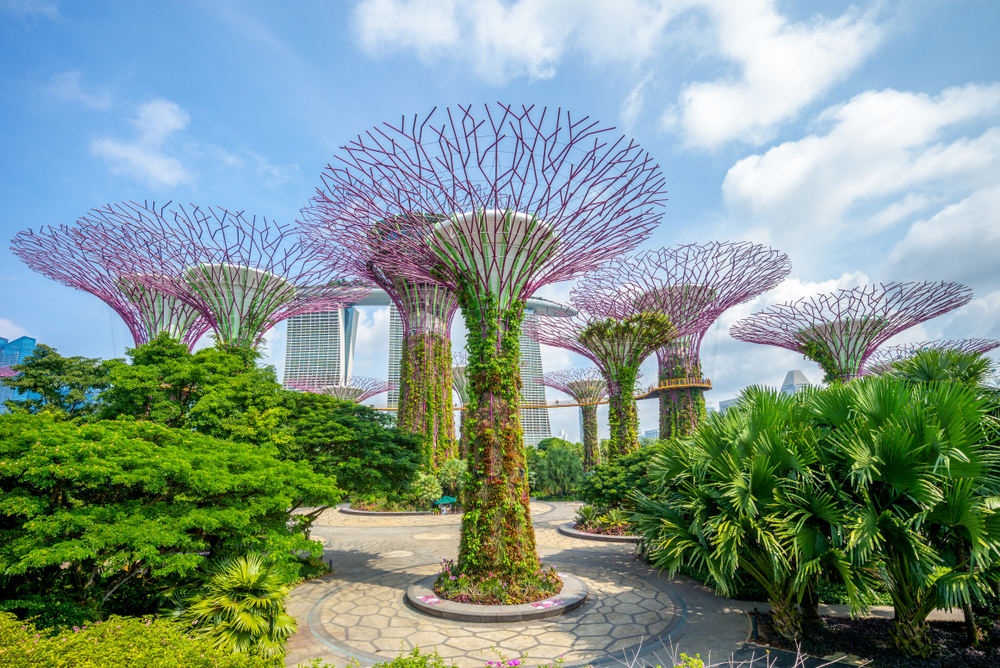 Landscape of Gardens by the Bay in Singapore