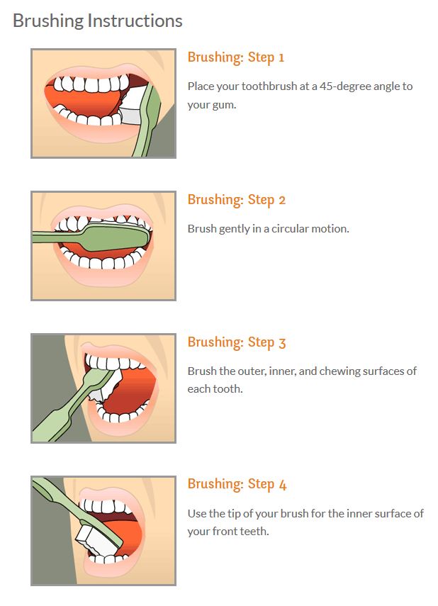 procedure how to brush your teeth