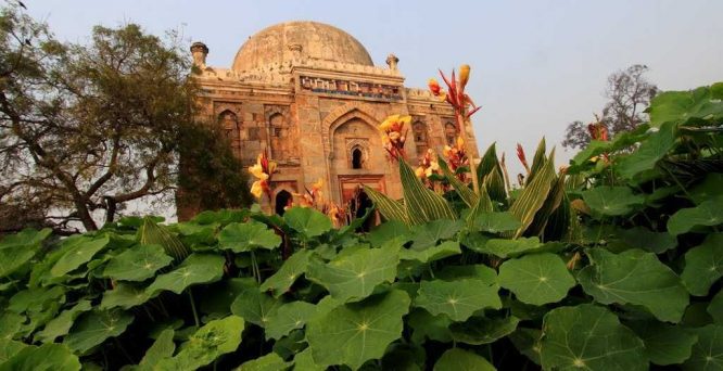 Lodhi Garden-Tourist Places in Delhi