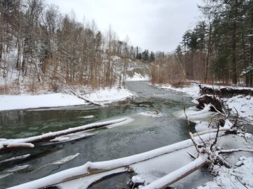 snowy river