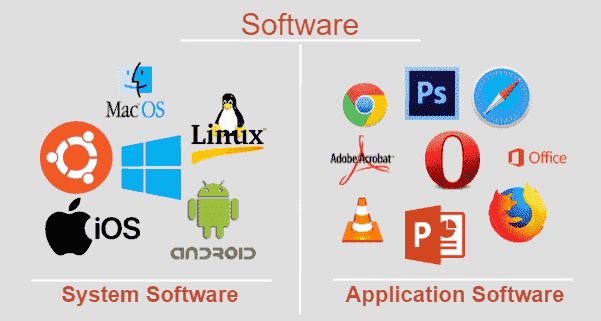 Examples of Software: Hardware vs Software