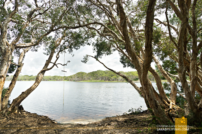 Lake Ainsworth Byron Bay Australia