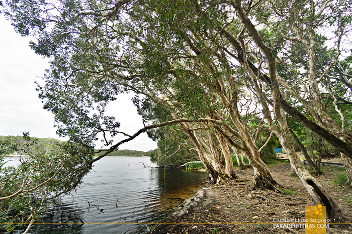 Lake Ainsworth Byron Bay Australia