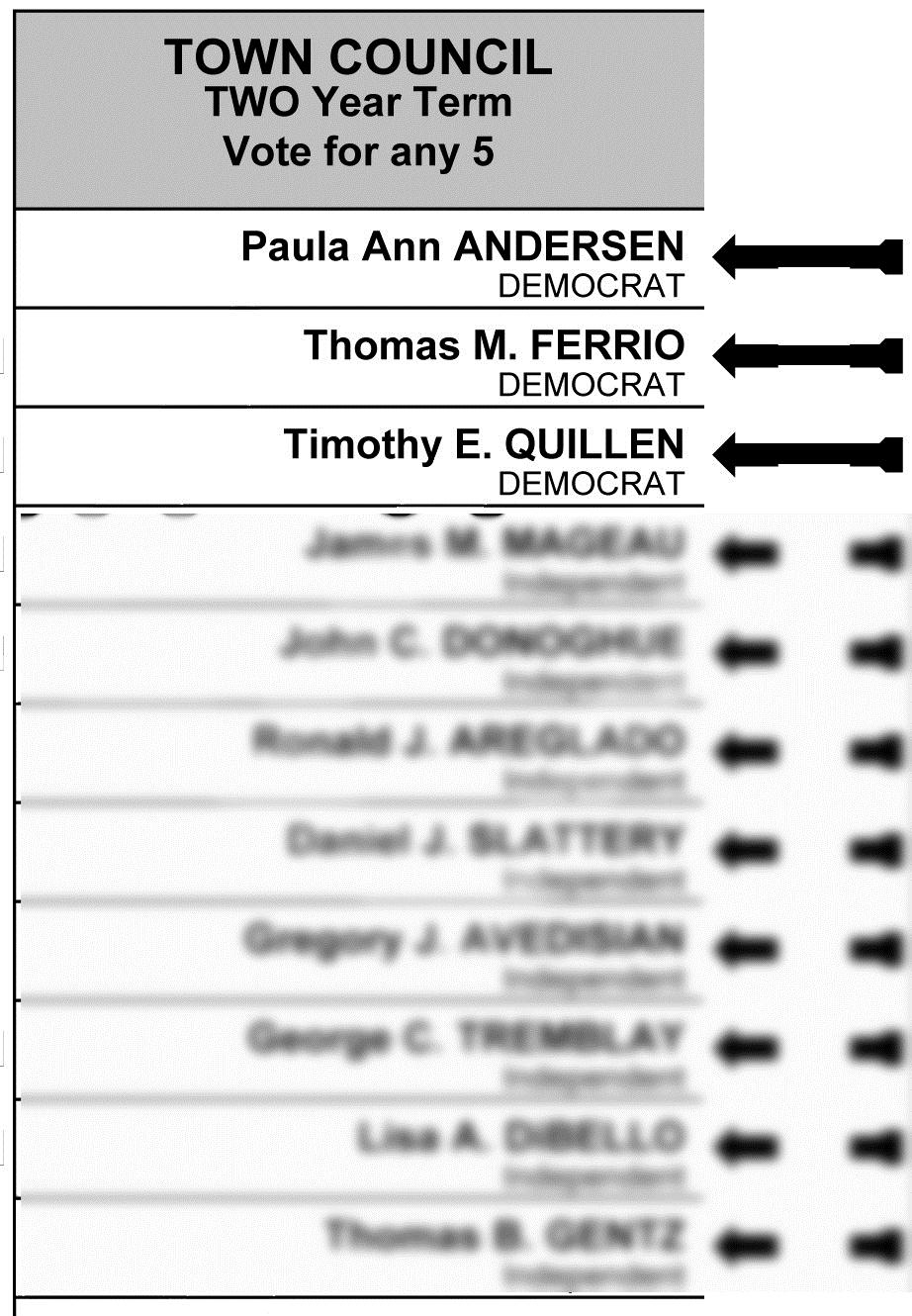 Progressive Charlestown: By request, the sample ballot