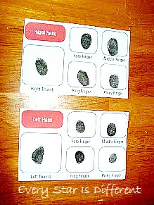 Police Station Finger Prints