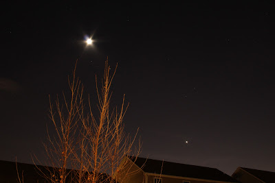 moon and stars with small tree