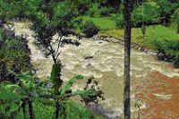  Arung Jeram Garut