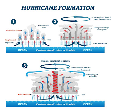 how hurricane forms