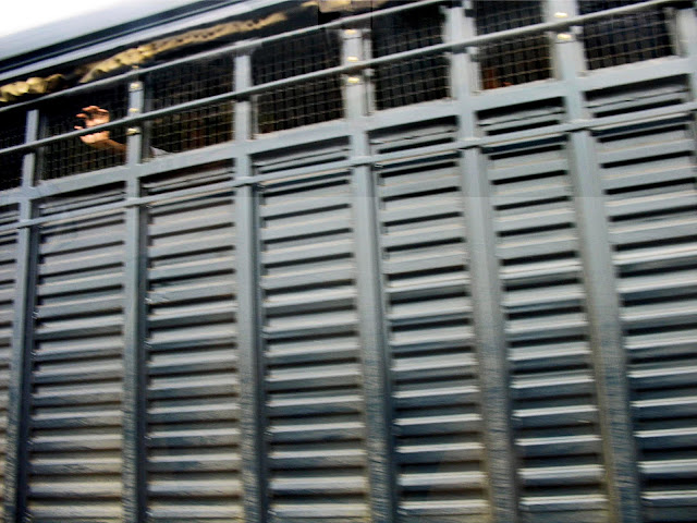 closeup of police truck