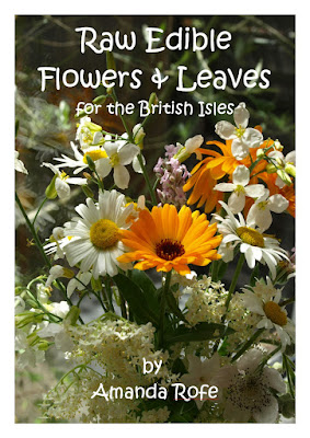 An image of the front cover of Raw Edible Flowers and Leaves by Amanda Rofe.