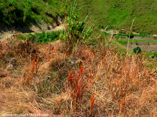 day hike to tinglayan villages of kalinga