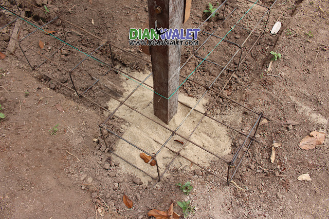 Rumah Sarang Burung Walet Dari Rangka Ulin