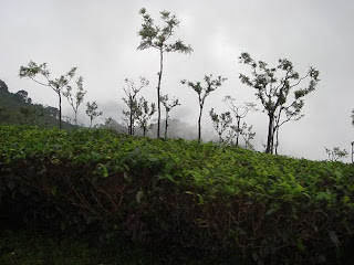 Ooty Hill Station - Ooty Places to Visit