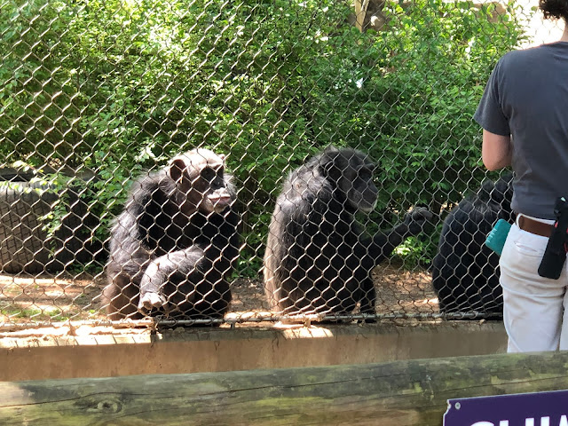 The Chattanooga Zoo