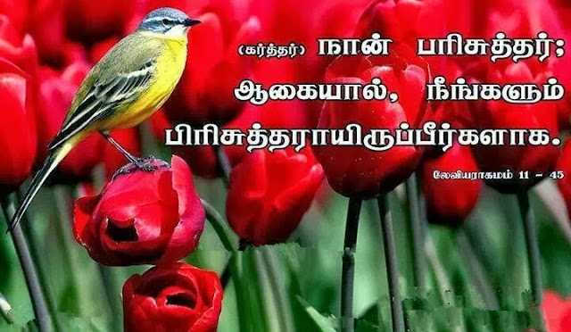 LEVITICUS 11:45 - TAMIL BIBLE VERSE