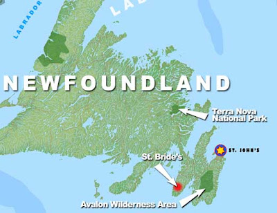 Newfoundland Map Regional Political Province