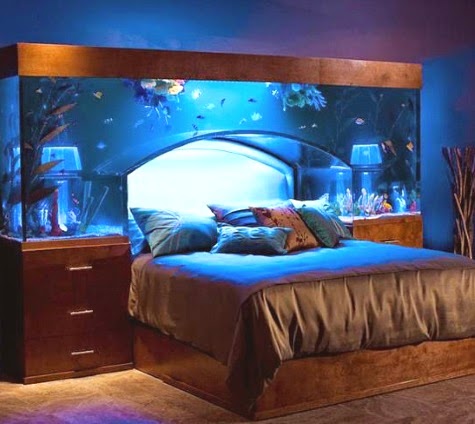 aquarium bed