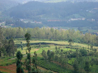 Ketti Valley - Ooty