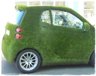 car-covered-in-grass