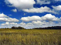 Awan Cumulus (Cu)