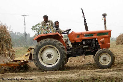 Tractor Plowing Field