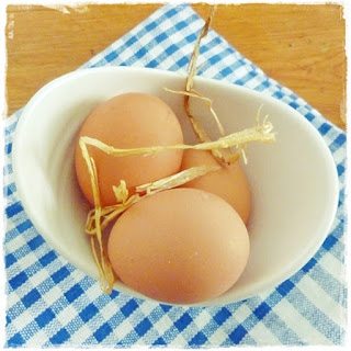 new-laid-eggs