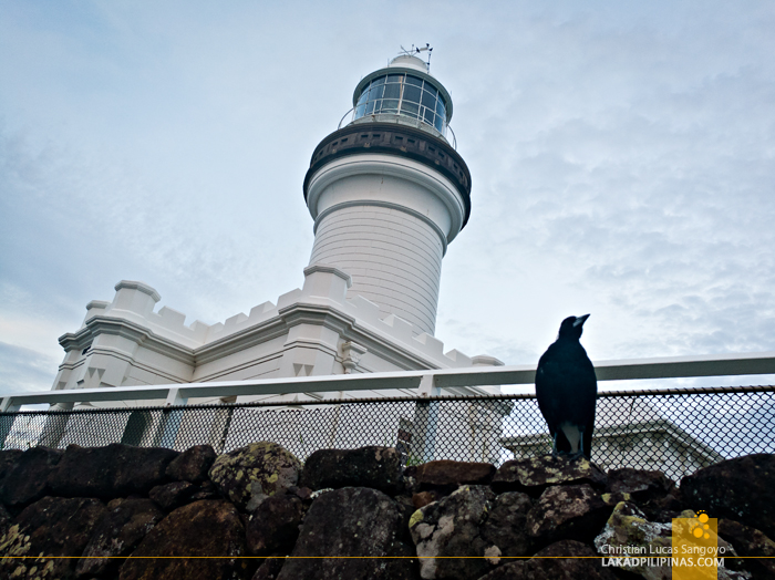 Byron Bay Tour Australia