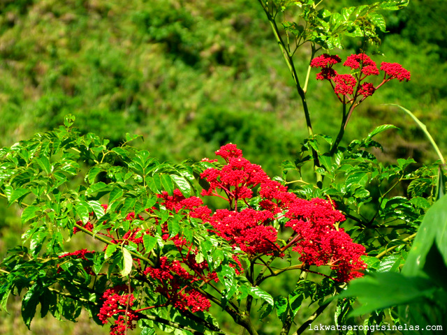 day hike to tinglayan villages of kalinga