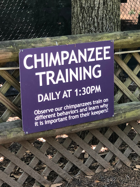 The Chattanooga Zoo