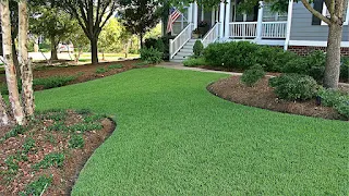 Best Zoysia Grass Fertilizer