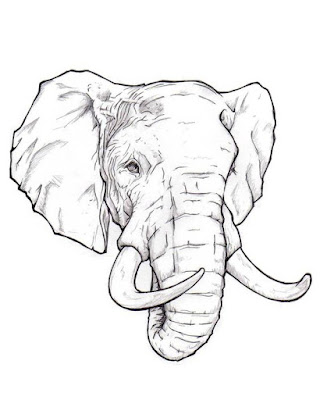 Senior-Elephant-Head-Tattoo-Design